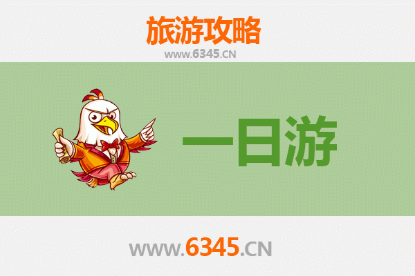 中山阜沙镇自驾一日游攻略：探索水乡风情与地道美食