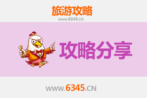 中山阜沙镇旅游攻略：跟团与自由行深度对比
