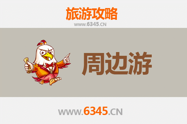 中山阜沙镇周边游全攻略：探索水乡风情与田园乐趣