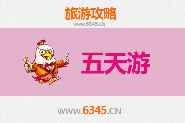 中山阜沙镇五天四夜深度游攻略：水乡风情与美食探索