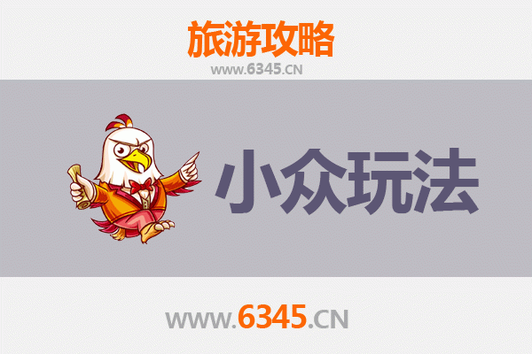 中山阜沙镇小众玩法探秘：水乡风情与在地体验